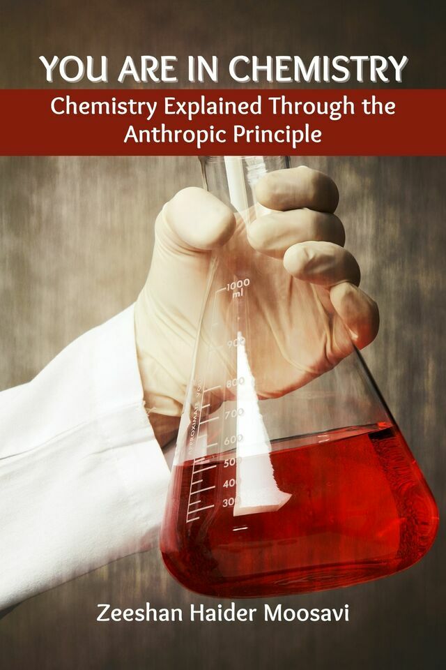 You are in Chemistry: Chemistry Explained Through the Anthropic Principle - Front Cover