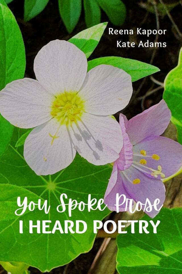 You Spoke Prose, I Heard Poetry - Front Cover